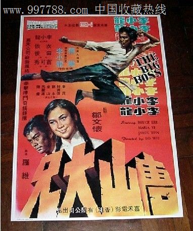 博伊西办理假驾驶证